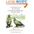 A Field Guide to the Raptors of Europe, the Middle East, and North Africa