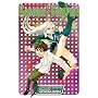 Rosario+Vampire, Vol. 9