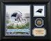 Carolina Panthers  Team Pride Photo Mint