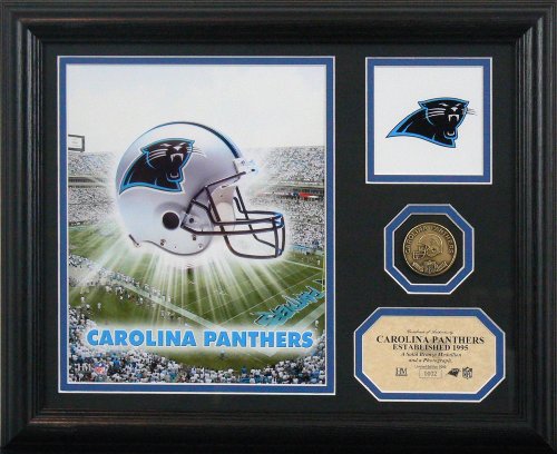 Carolina Panthers  Team Pride Photo Mint