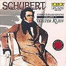 Schubert: Complete Piano Sonatas, Vol. 1