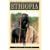 Local Colour Illustrated Guide:  Ethiopia