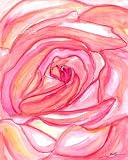 'Rose Flower Series By Serena Bowman 8 X 10 Wall Decor Art Print
