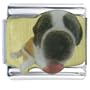 Saint Bernard Animal Photo Italian Charms Bracelet Link
