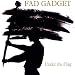 Anklicken zum Vergrößeren: Fad Gadget - Under the Flag (Audio CD)