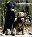labrador7  - Labrador Retrievers 2010 Hardcover Engagement Calendar