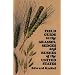 Field Guide to the Grasses, Sedges, and Rushes of the Northern United States
