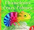 Chameleon's Crazy Colours
