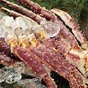 SHUEI 【送料無料・訳ありなし】生タラバガニ足総重量約3.0kg+殻付あわび付