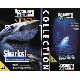 Discovery Channel Sharks CD-Rom & Sharks Video