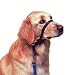 Canac Gentle Leader Medium Dog