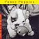 Funny Puppies (Welcome Books (Steward Tabori & Chang))