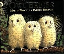Owl Babies