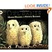 Owl Babies