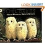 Owl Babies