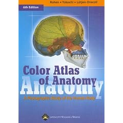 Color Atlas of Anatomy: A Photographic Study of the Human Body (Color Atlas of Anatomy (Rohen))
