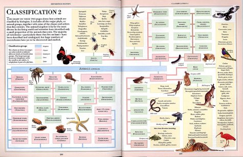 DK Nature Encyclopedia under Natural History in The Books Store