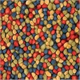 Gems Multi-Colored Contemporary Shag Rug Size: 2' x 3'