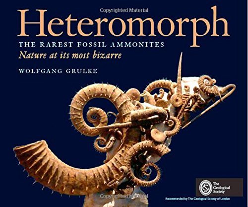 HETEROMORPH The rarest fossil ammonites: Nature at its most bizarre by Wolfgang Grulke (1-Oct-2014) Hardcover