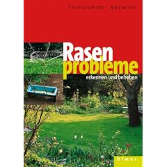Rasenprobleme erkennen und beheben