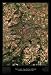 Prague From Space, Art Poster
