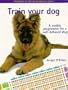Train Your Dog (Pet Love)