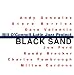 Image of Black Sand