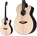 Fender Acoustics GDC-100SCE NAT