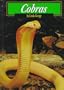 Cobras (Snakes Discovery Library)