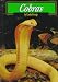 Cobras (Animals & the Environment.)
