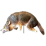 Tools & Hardware : 3-D Coyote Replica