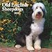 Old English Sheepdogs 2009 Square Wall Calendar (Multilingual Edition)