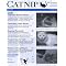 Advanced Cat Care Resources and Inspiration for Cat Rescuers