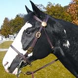 Shenandoah Beta Light Trail Bridle