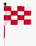 Checkered Practice Green Flags - Set of 9 Flags