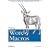 Writing Word Macros: An Introduction to Programming Word using VBA
