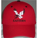 Eastern Michigan Eagles One-Fit NCAA Wool Flex Cap (Team Color)