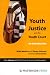 Youth Justice and the Youth Court: An Introduction (Introductory Series)