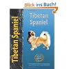 Tibetan Spaniel