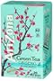 AriZona Green Tea with Ginseng & Honey, 20 Count Tea Bags, 1.09-Ounce Boxes (Pack of 6)
