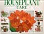 A Step by Step Guide to Houseplant Care