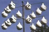 Songbird Essentials Gourd Rack Pole not included