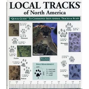 116