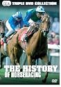 The History Of Horse Racing
