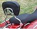 Detachable Passenger Backrest Sissy Bar for Harley Davidson Touring