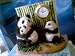 Panda Clock