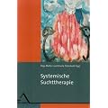Systemische Suchttherapie: Entstehung und Behandlung von Sucht und Abh�ngigkeit im sozialen Kontakt