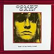 cover of Comet Gain Howl of The Lonely Crowd