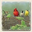 Tumbled tile trivet ~ Rail Birds ~ 7.5 inch square ~ code 221