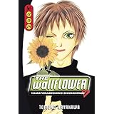 the wallflower 222324